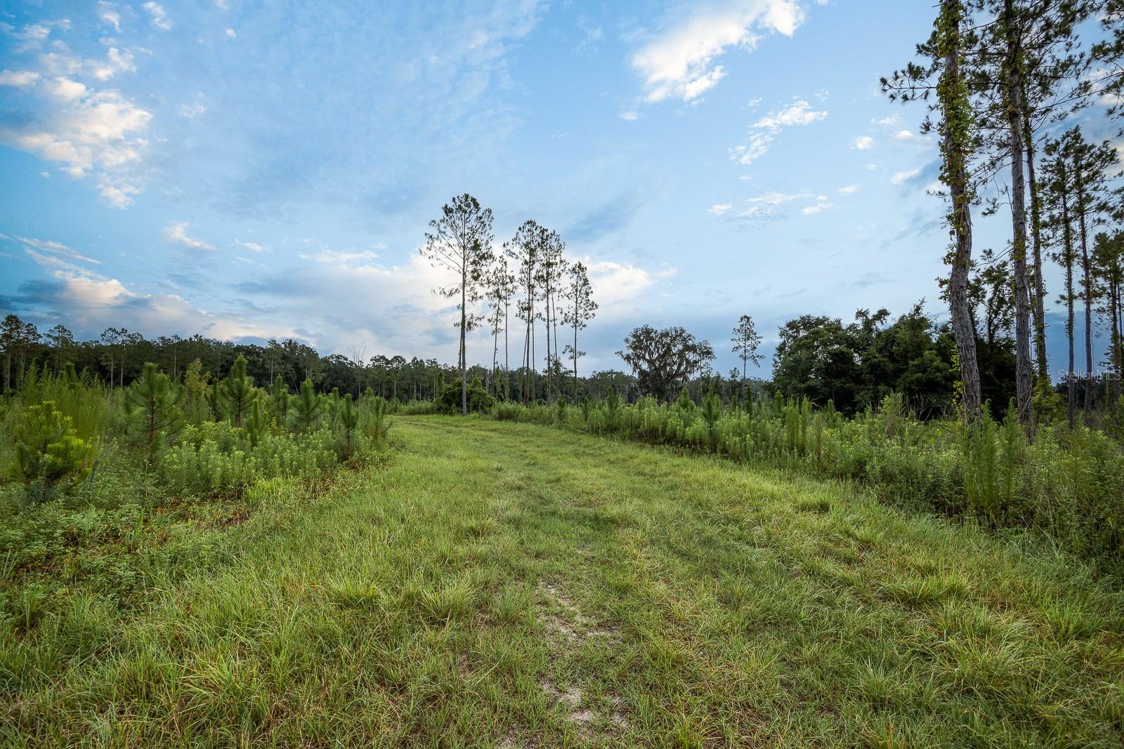21400 NW CR 235A, ALACHUA, FL, 32615