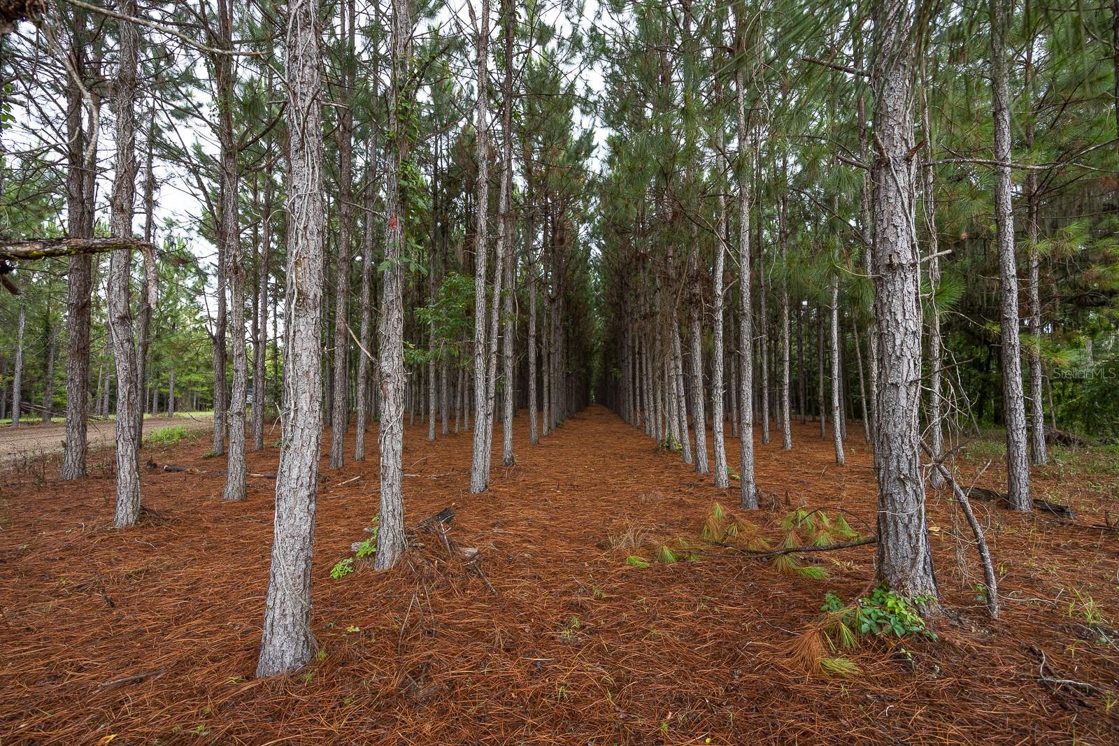 21400 NW CR 235A, ALACHUA, FL, 32615