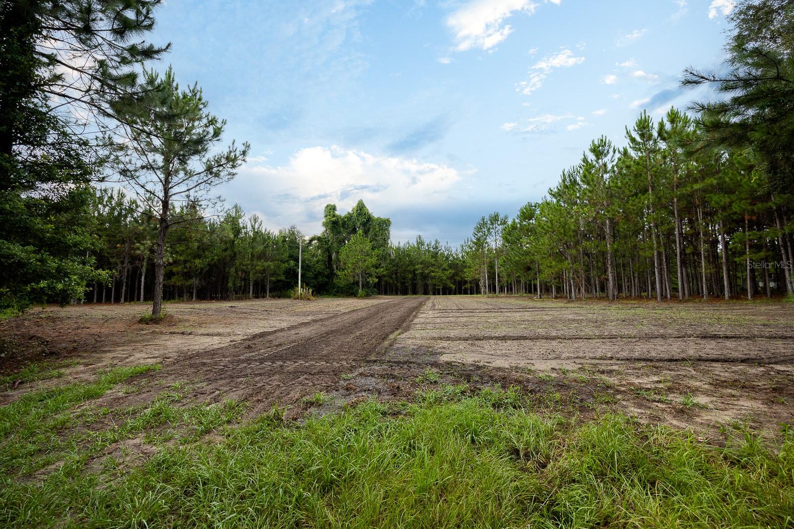 21400 NW CR 235A, ALACHUA, FL, 32615