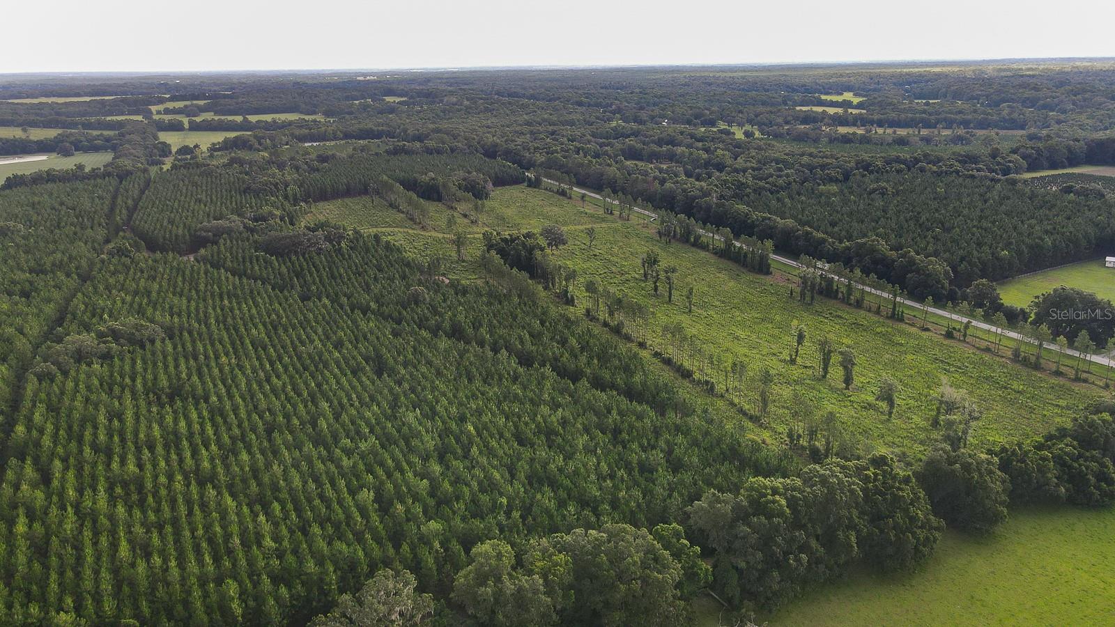 21400 NW CR 235A, ALACHUA, FL, 32615