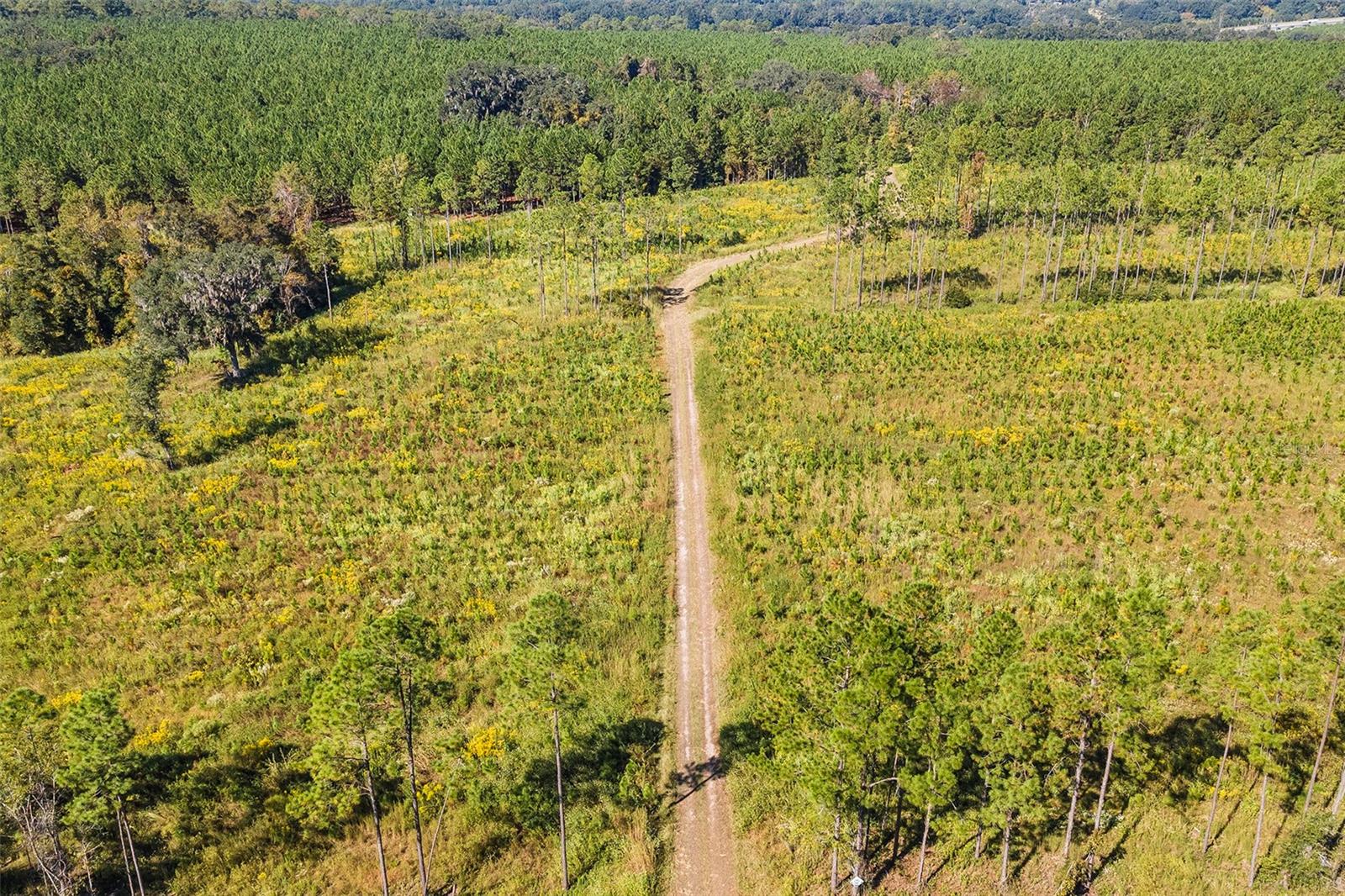 21400 NW CR 235A, ALACHUA, FL, 32615