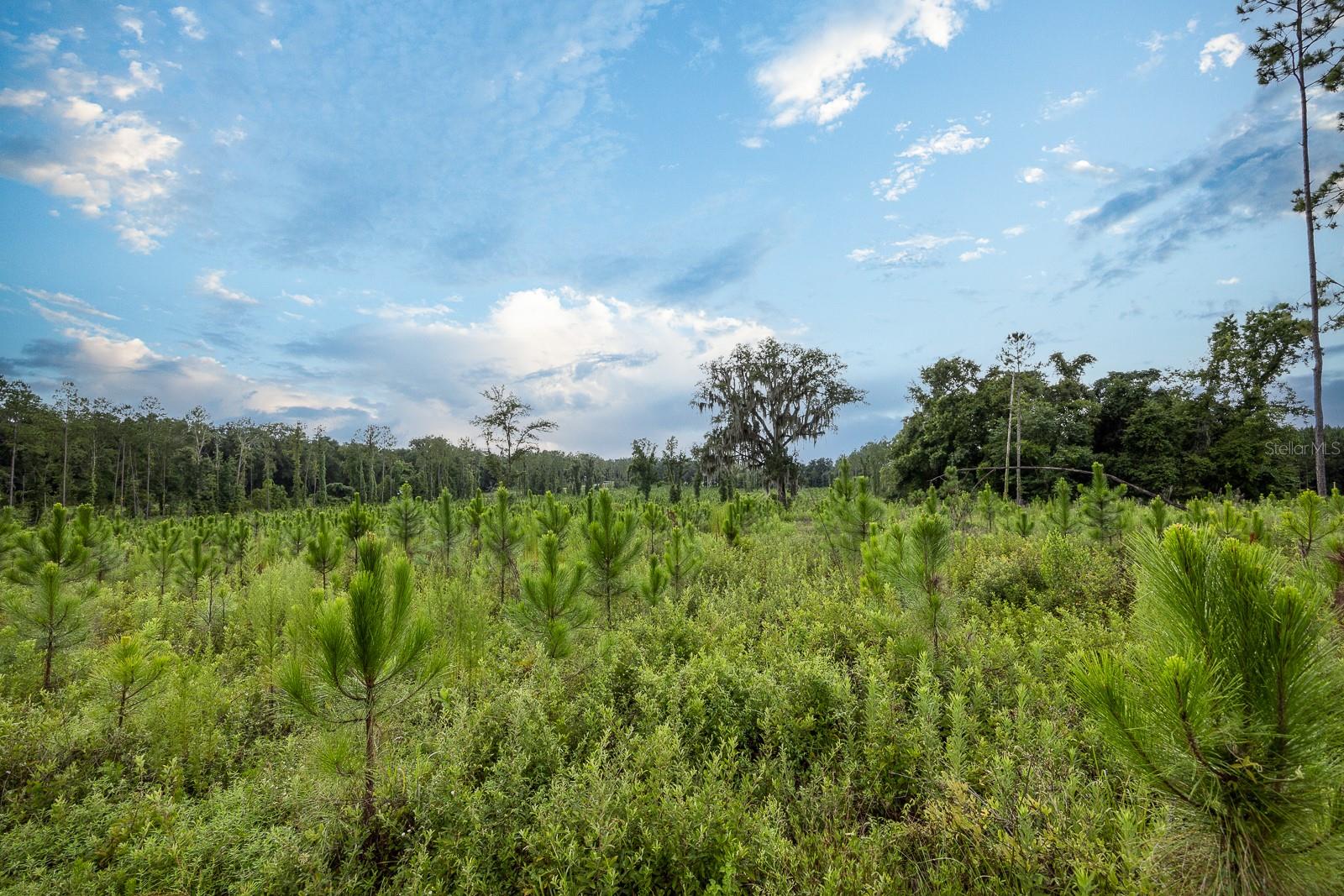 21400 NW CR 235A, ALACHUA, FL, 32615
