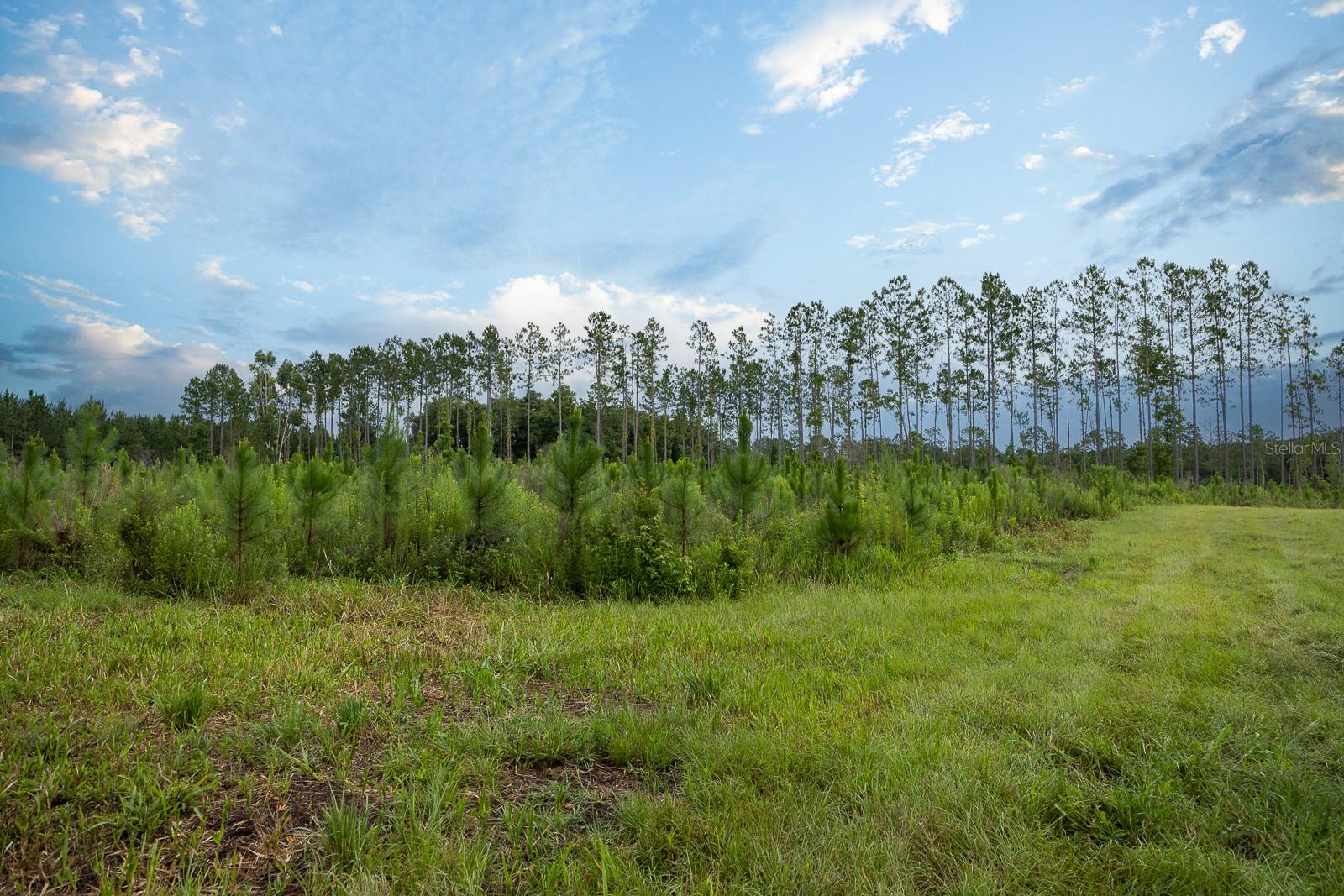 21400 NW CR 235A, ALACHUA, FL, 32615