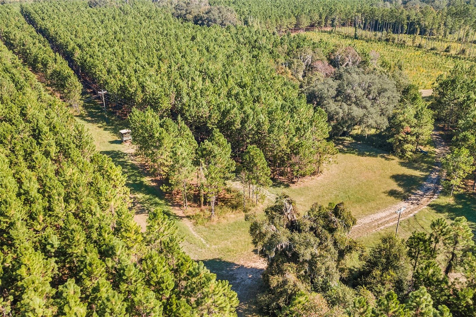 21400 NW CR 235A, ALACHUA, FL, 32615