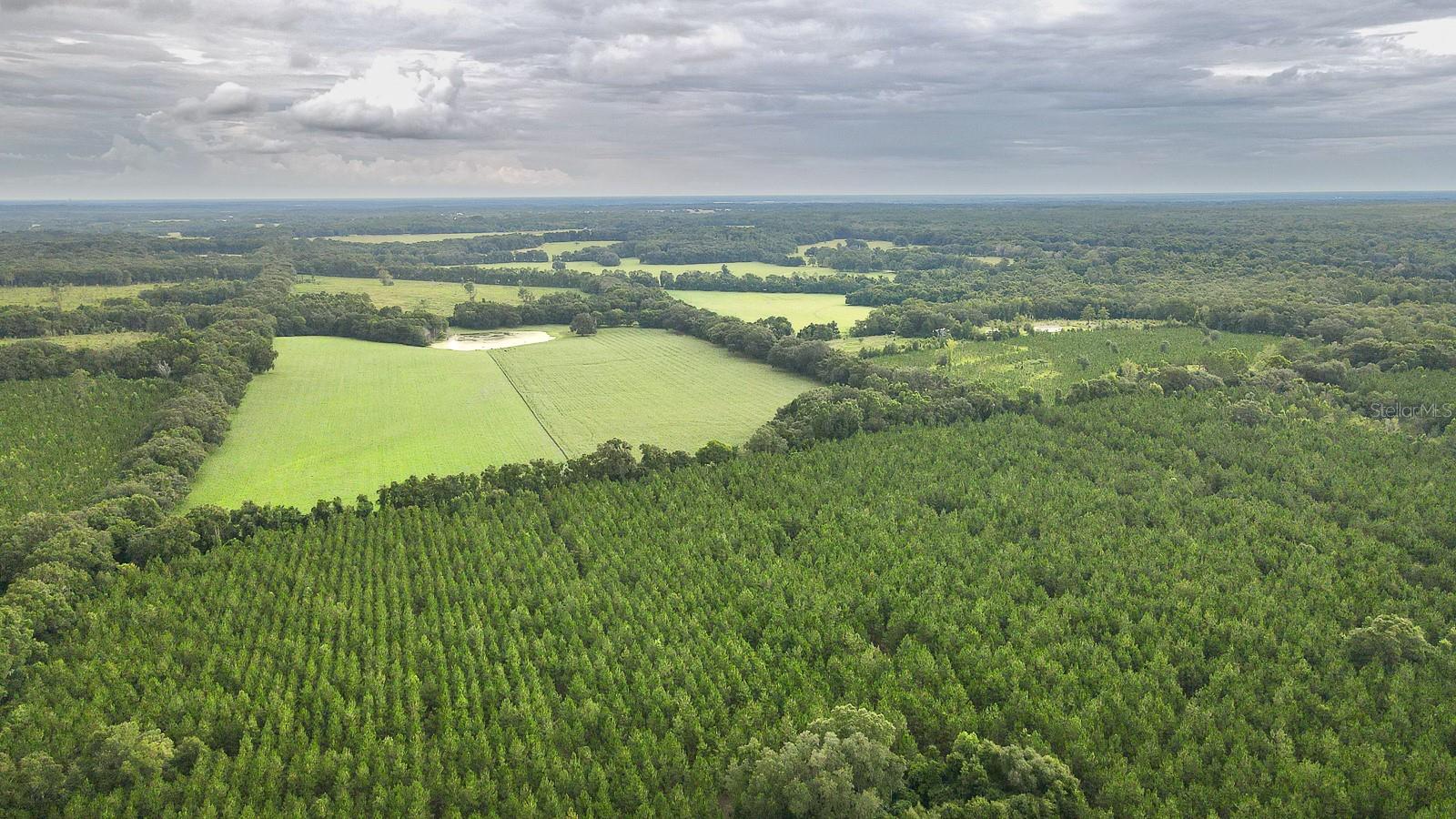 21400 NW CR 235A, ALACHUA, FL, 32615