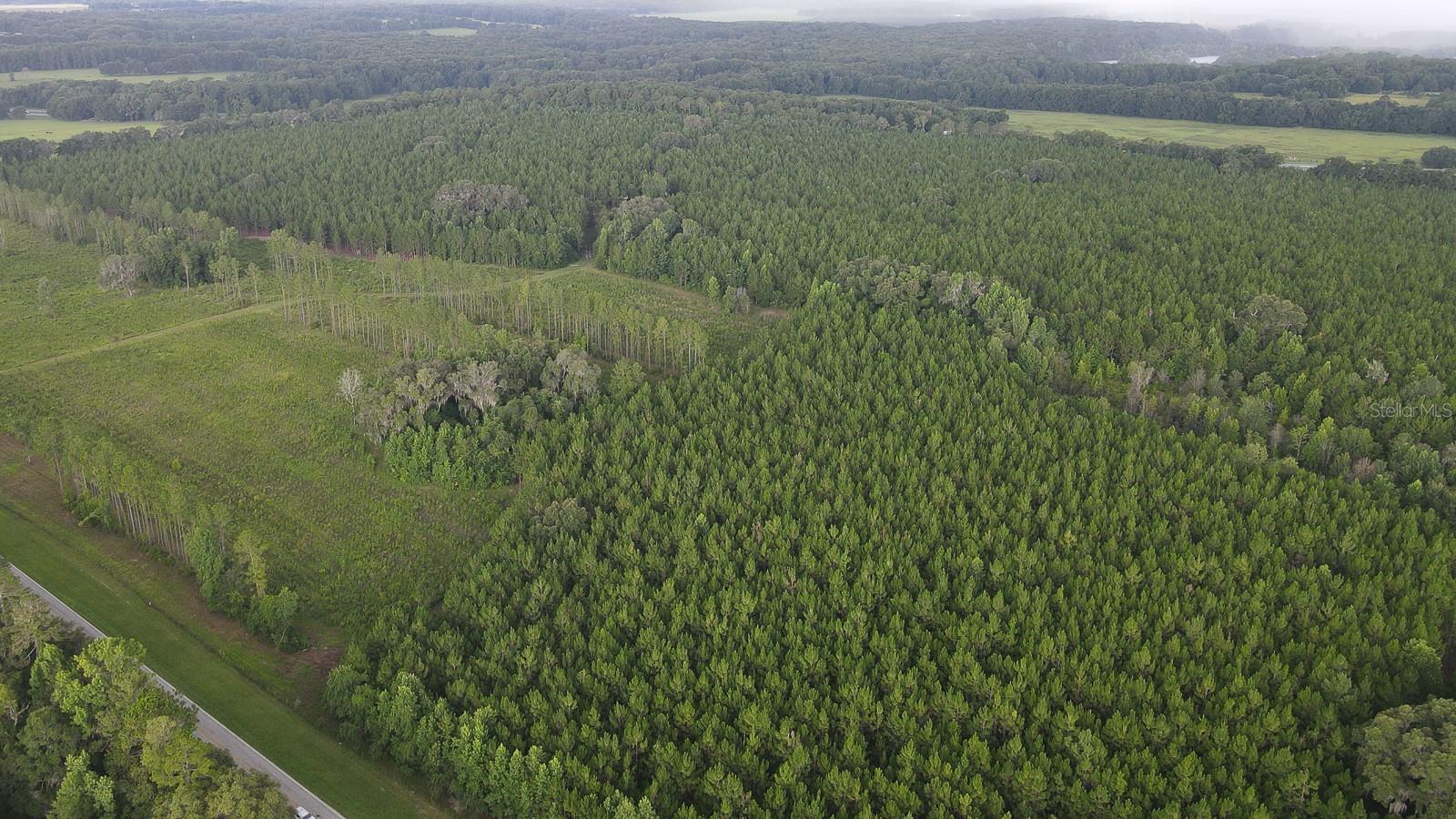 21400 NW CR 235A, ALACHUA, FL, 32615