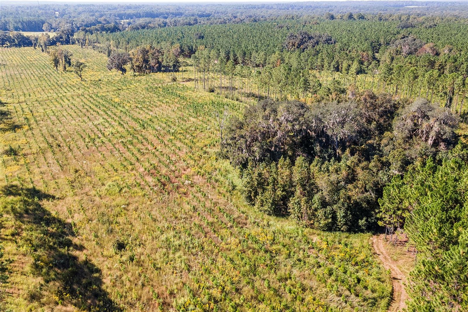 21400 NW CR 235A, ALACHUA, FL, 32615