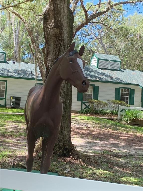 OM643352 Property Photo