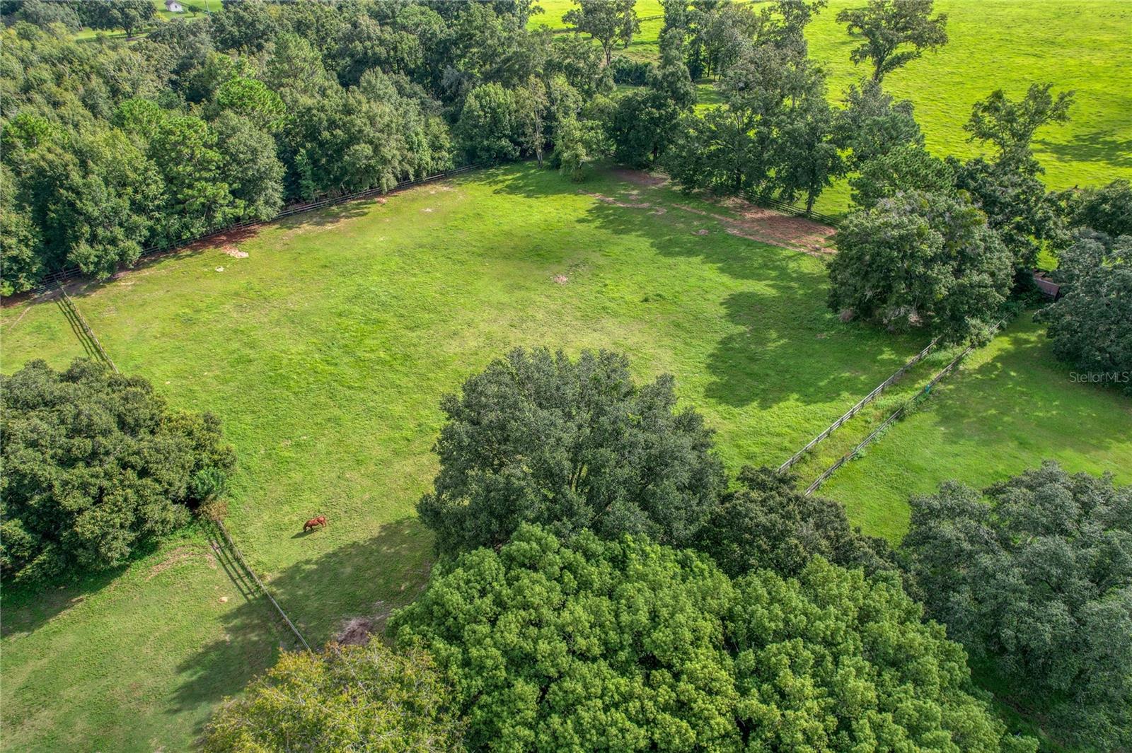 2831 NW 68TH AVE, OCALA, FL, 34482