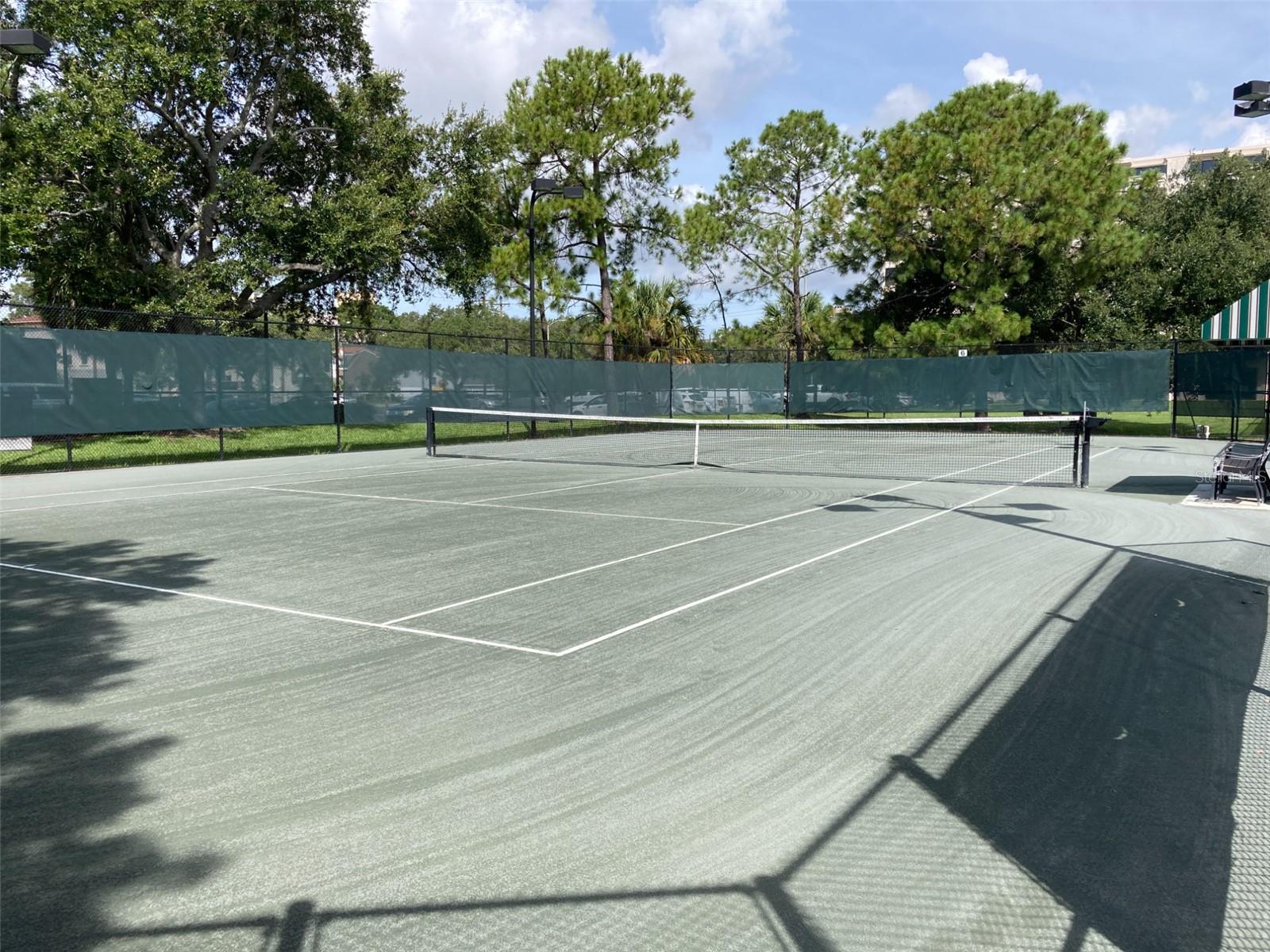 85 DAVIS BLVD #B, TAMPA, FL, 33606