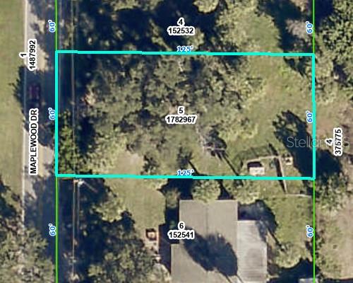 MAPLEWOOD DR, HERNANDO BEACH, FL, 34607
