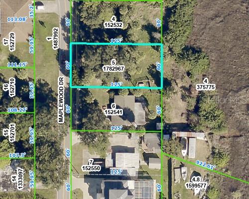 MAPLEWOOD DR, HERNANDO BEACH, FL, 34607