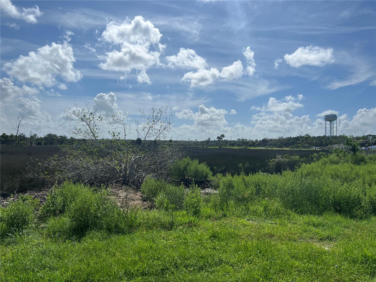 MAPLEWOOD DR, HERNANDO BEACH, FL, 34607
