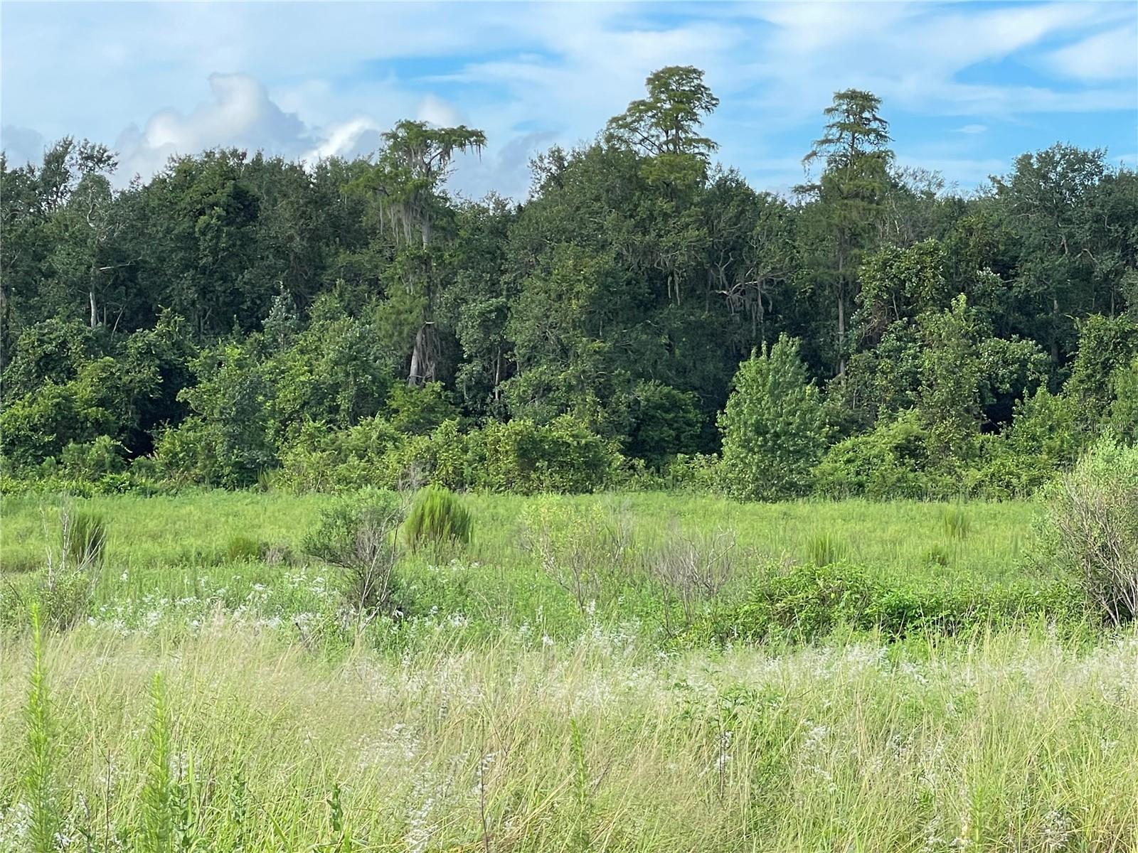 11301 CLAYTOR RD, CLERMONT, FL, 34714