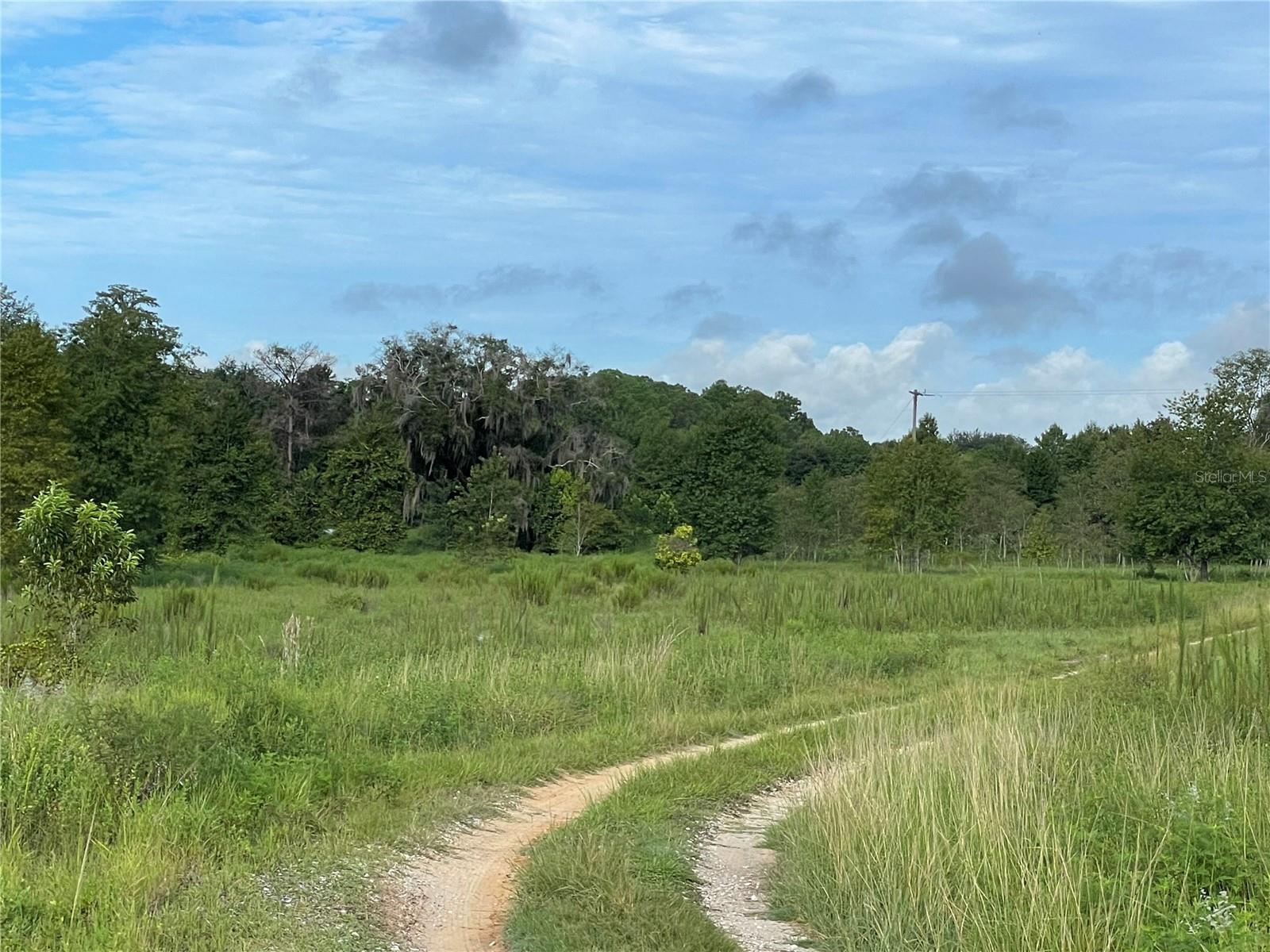 11301 CLAYTOR RD, CLERMONT, FL, 34714