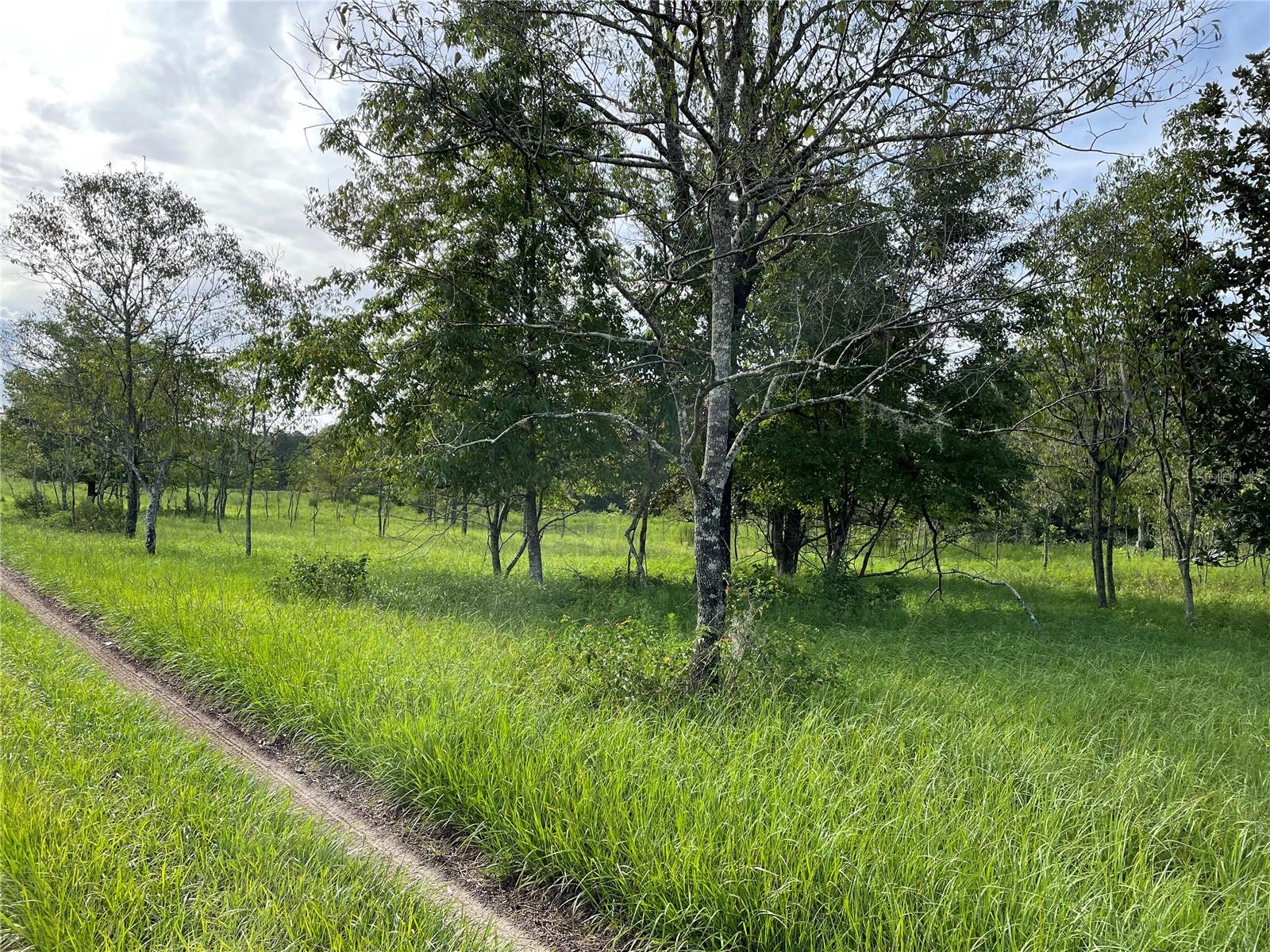 11301 CLAYTOR RD, CLERMONT, FL, 34714