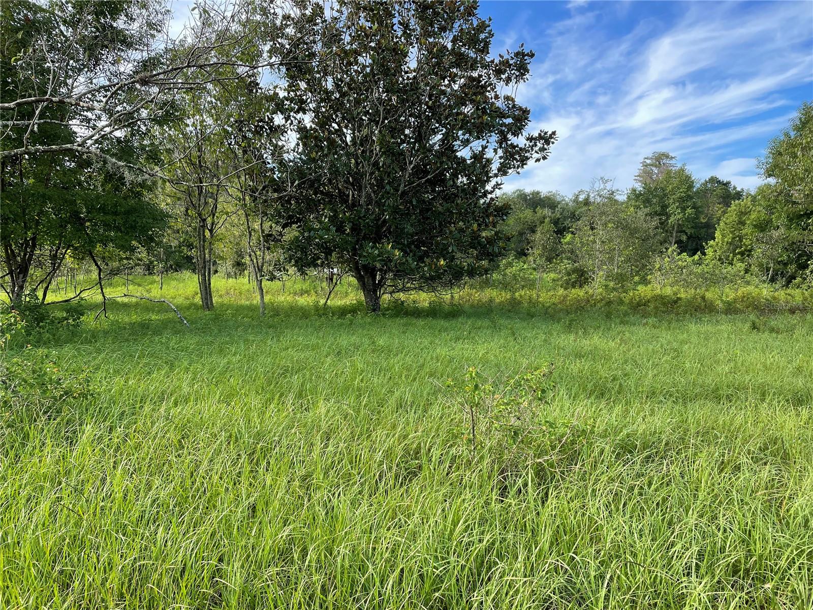 11301 CLAYTOR RD, CLERMONT, FL, 34714