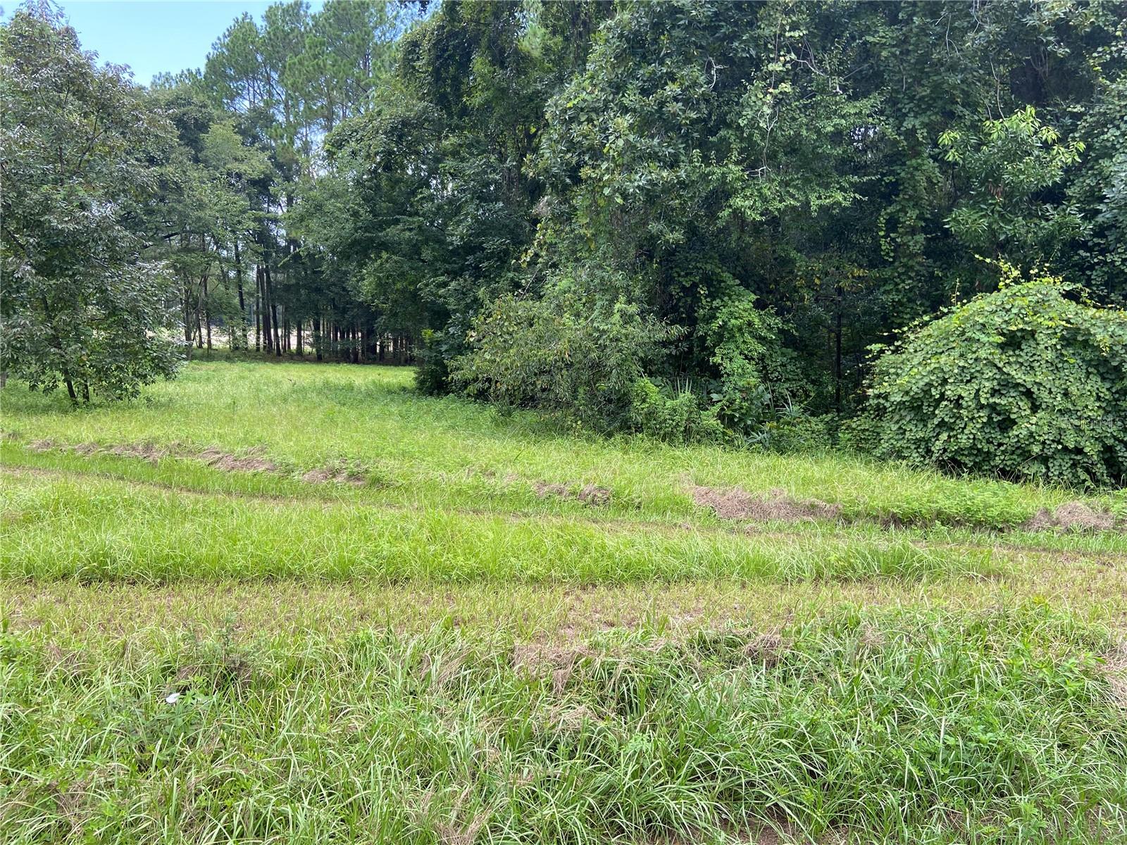 000 NW 257TH TER, HIGH SPRINGS, FL, 32643