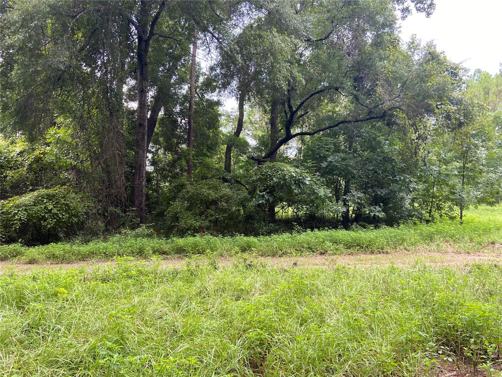 000 NW 257TH TER, HIGH SPRINGS, FL, 32643