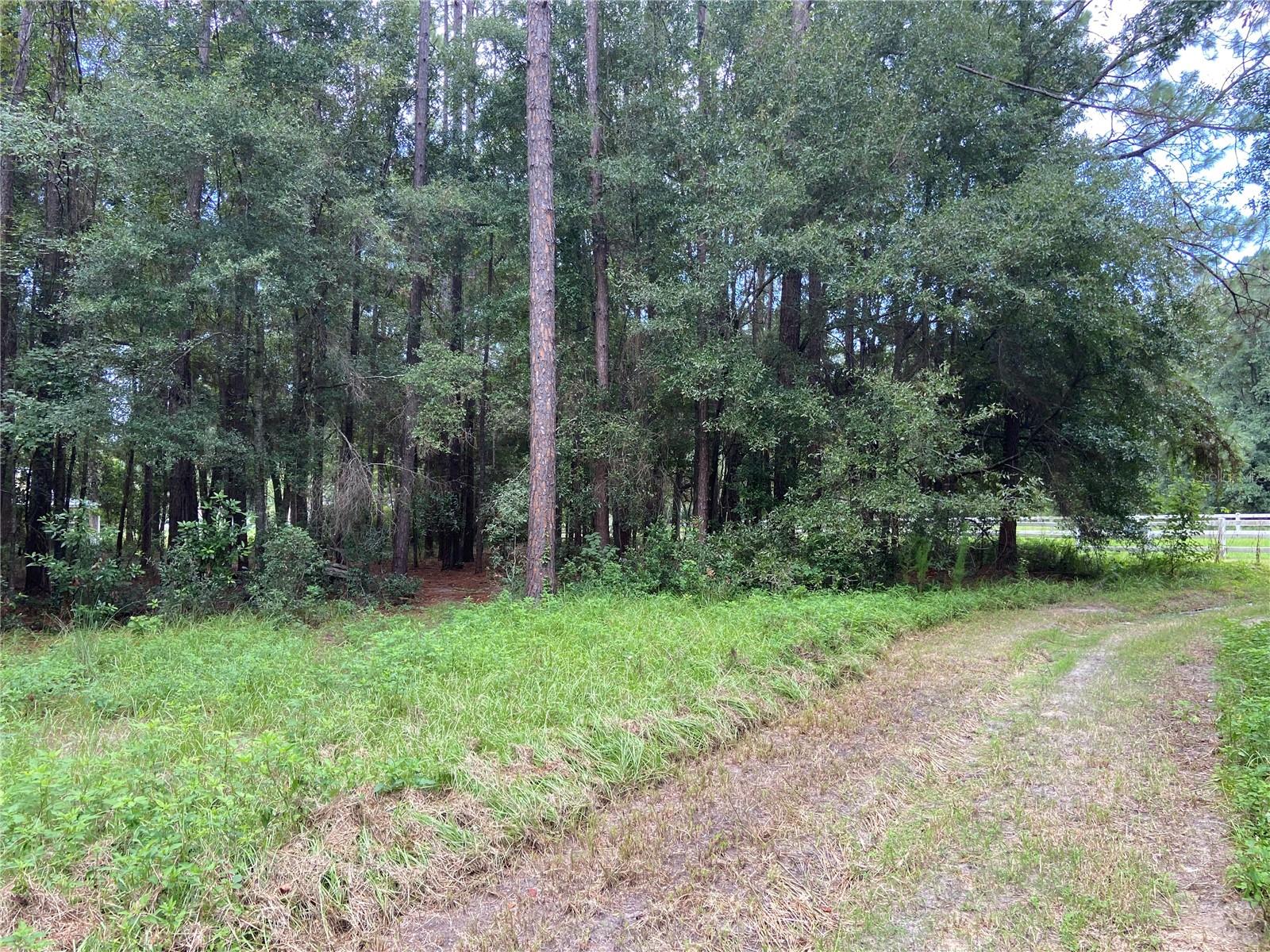 000 NW 257TH TER, HIGH SPRINGS, FL, 32643