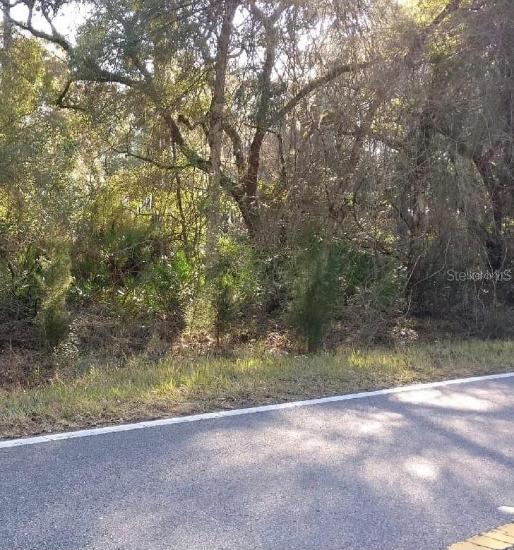 35118 RICHARDSON BLVD, WEBSTER, FL, 33597