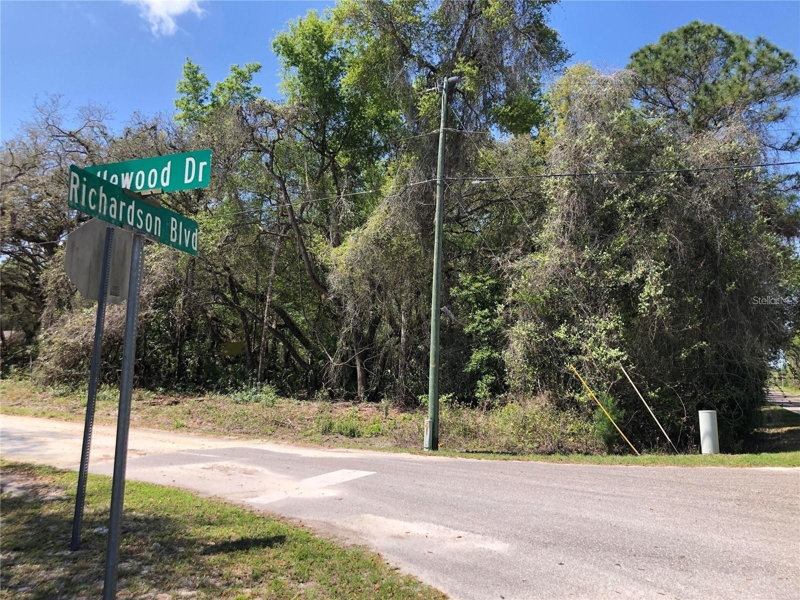 35118 RICHARDSON BLVD, WEBSTER, FL, 33597