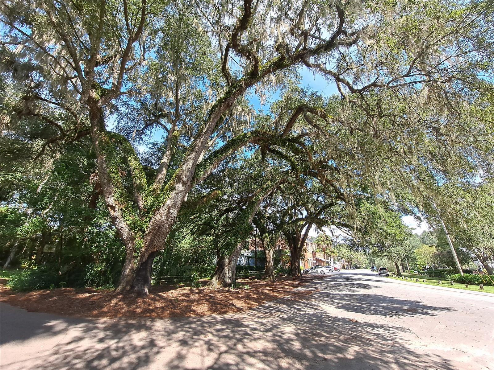 110 NE 1ST ST, MICANOPY, FL, 32667