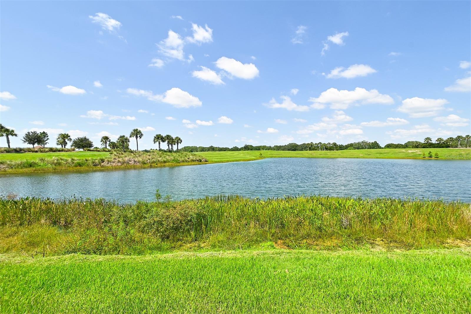 5567 PALMER CIR #104, BRADENTON, FL, 34211