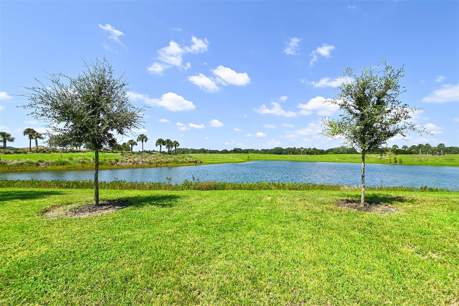 5567 PALMER CIR #104, BRADENTON, FL, 34211