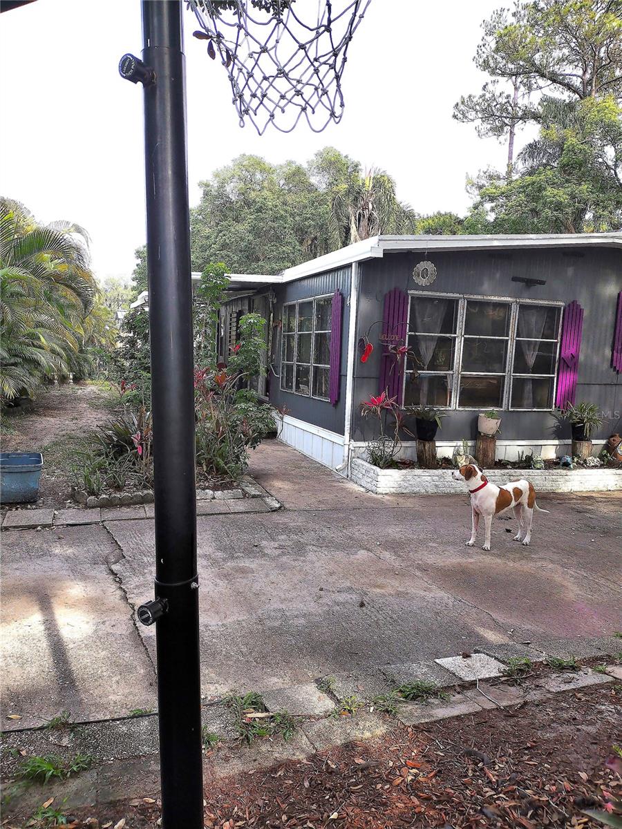 40 SUNSET CIRCLE, LAKE ALFRED, FL, 33850
