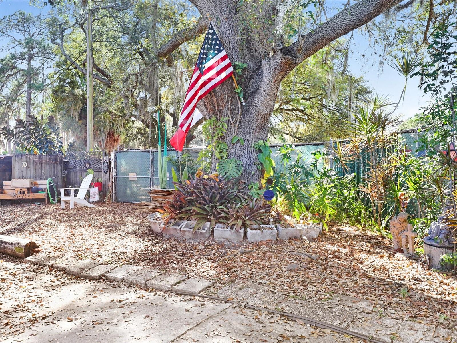 40 SUNSET CIRCLE, LAKE ALFRED, FL, 33850