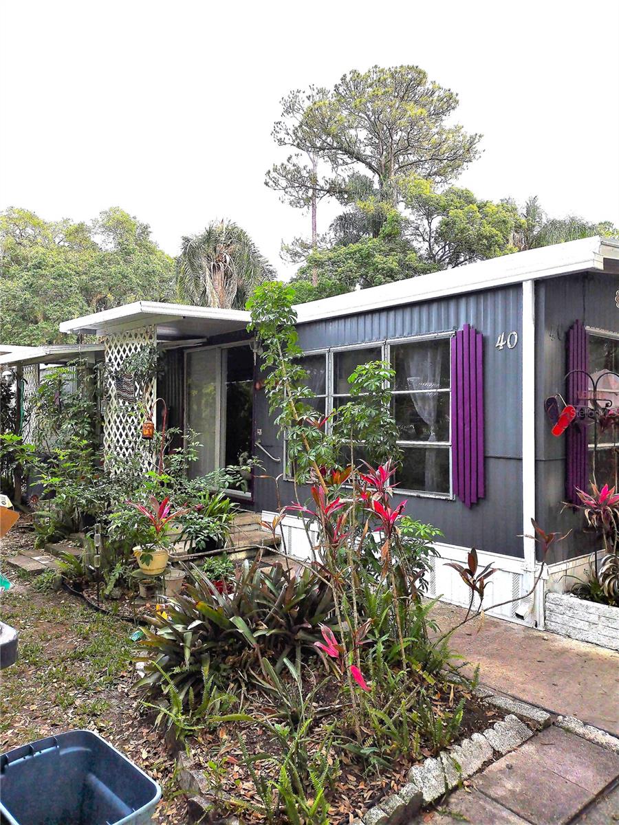 40 SUNSET CIRCLE, LAKE ALFRED, FL, 33850