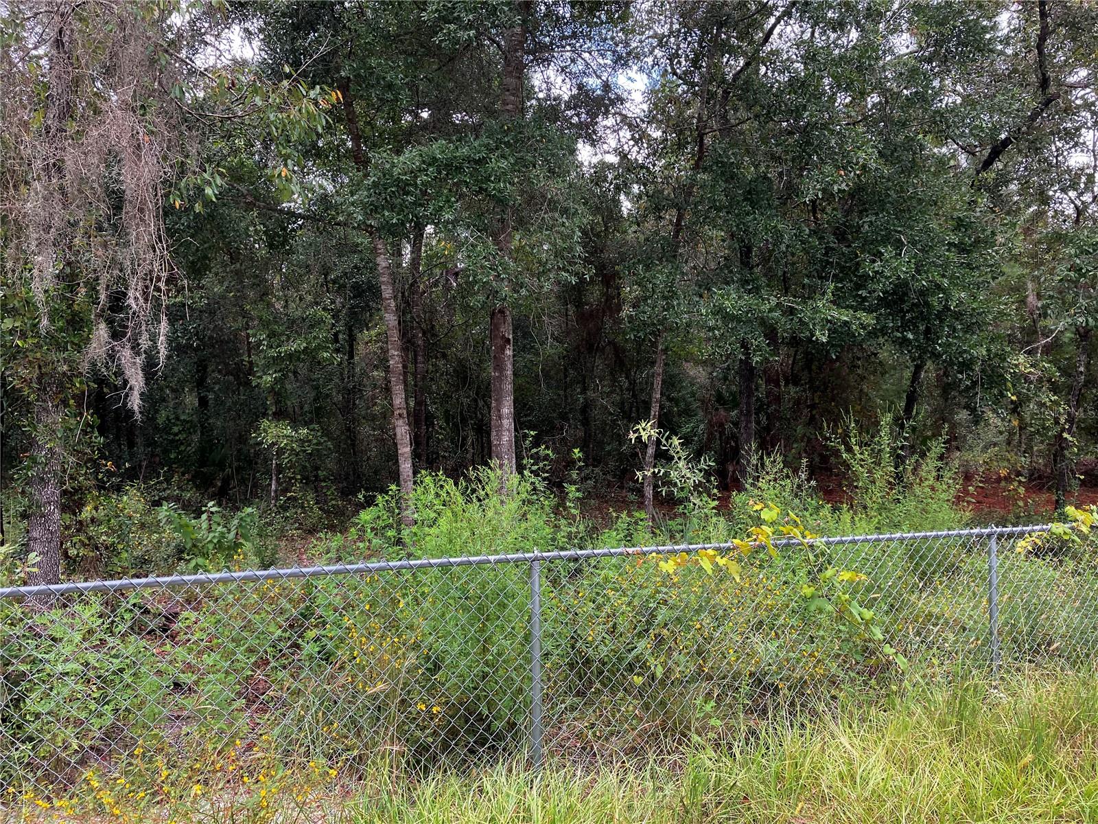 9255 GROUSE WAY, HUDSON, FL, 34669