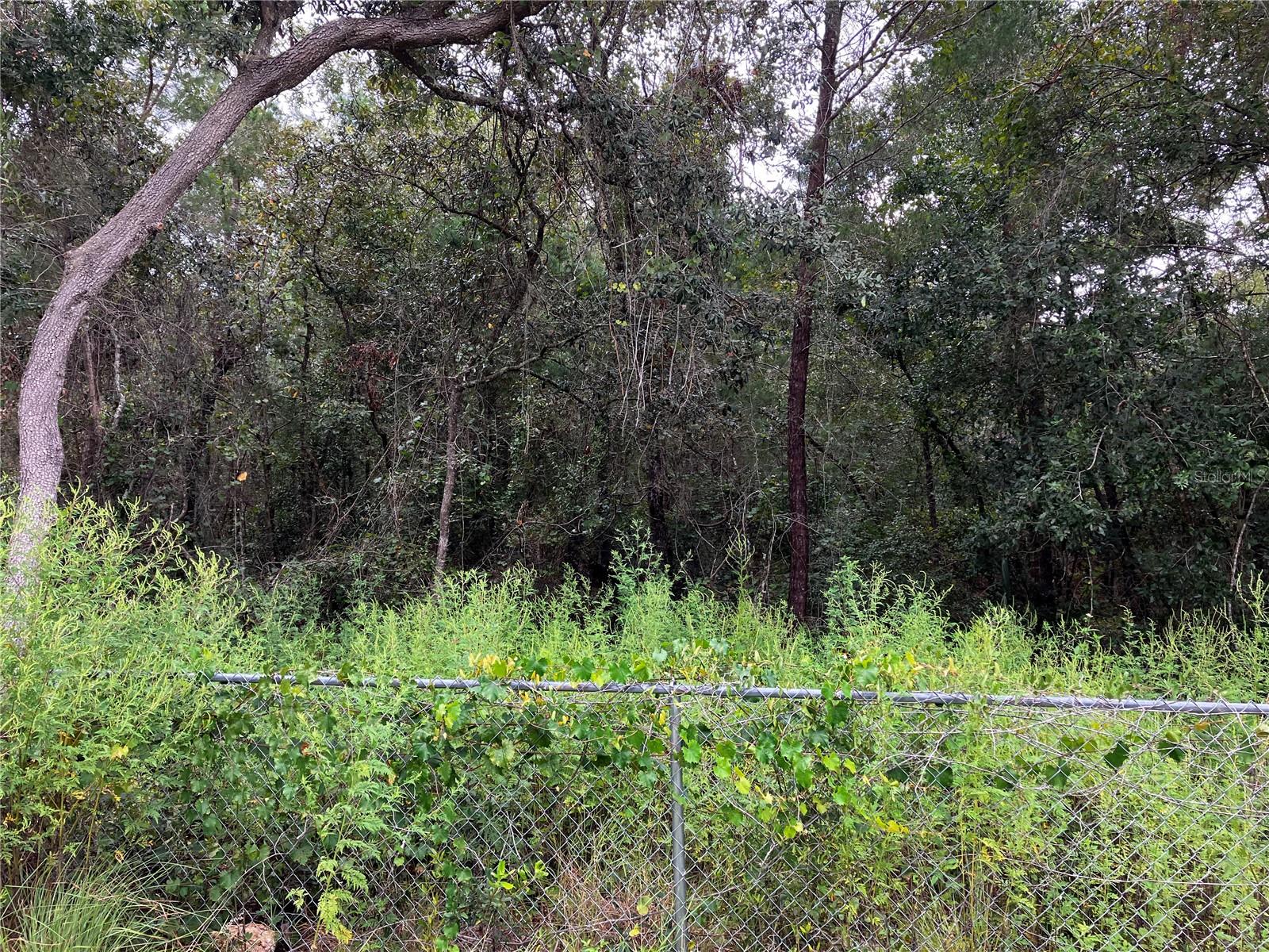 9255 GROUSE WAY, HUDSON, FL, 34669