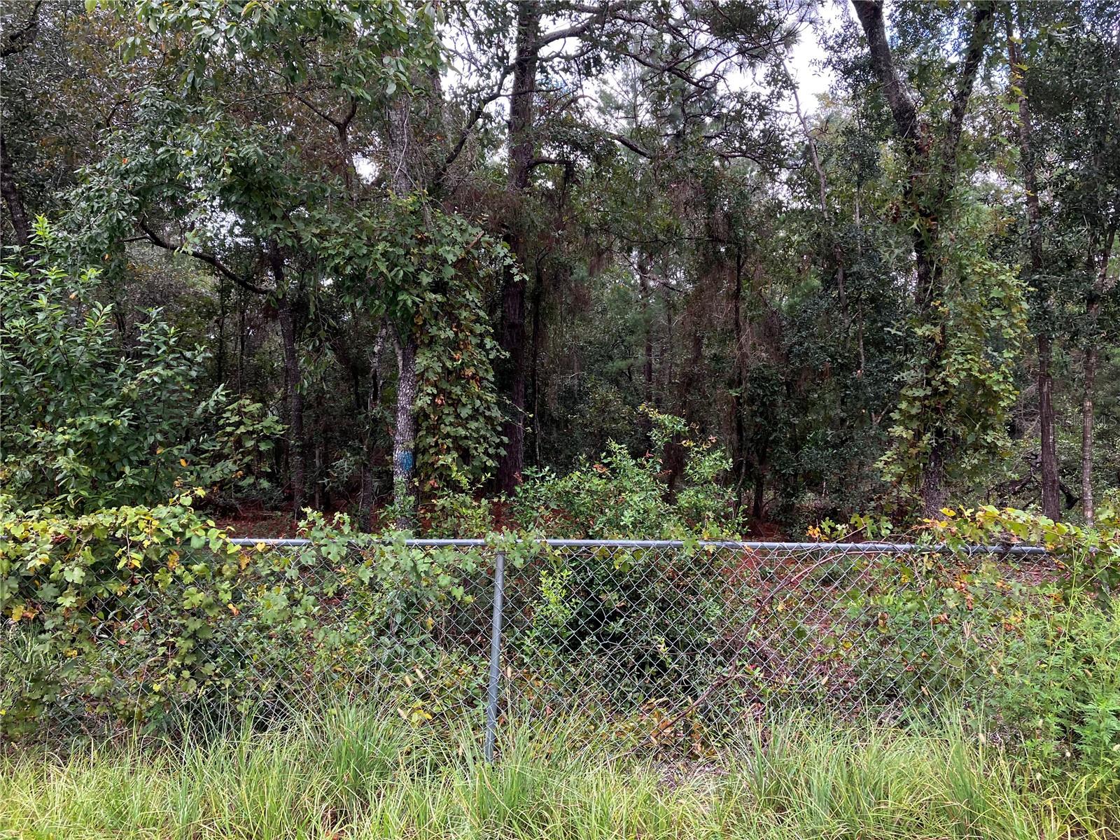 9255 GROUSE WAY, HUDSON, FL, 34669