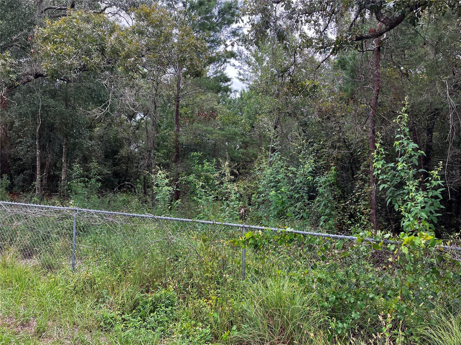 9255 GROUSE WAY, HUDSON, FL, 34669