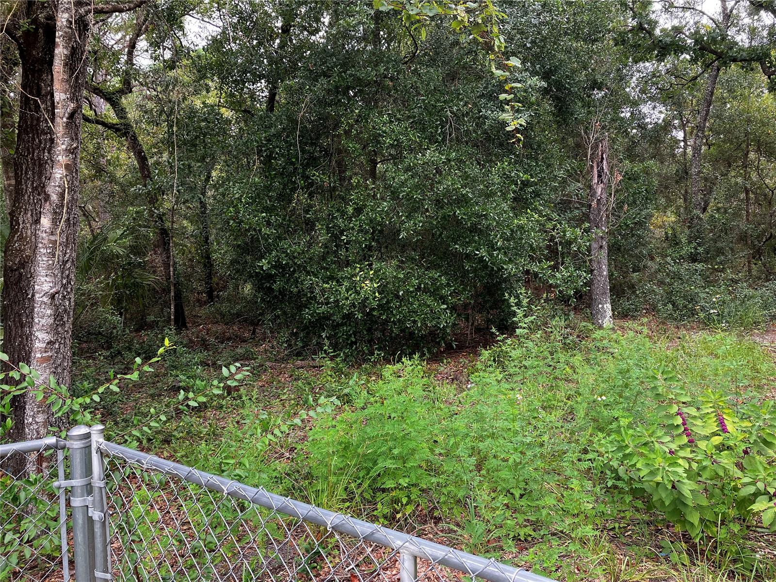 9255 GROUSE WAY, HUDSON, FL, 34669