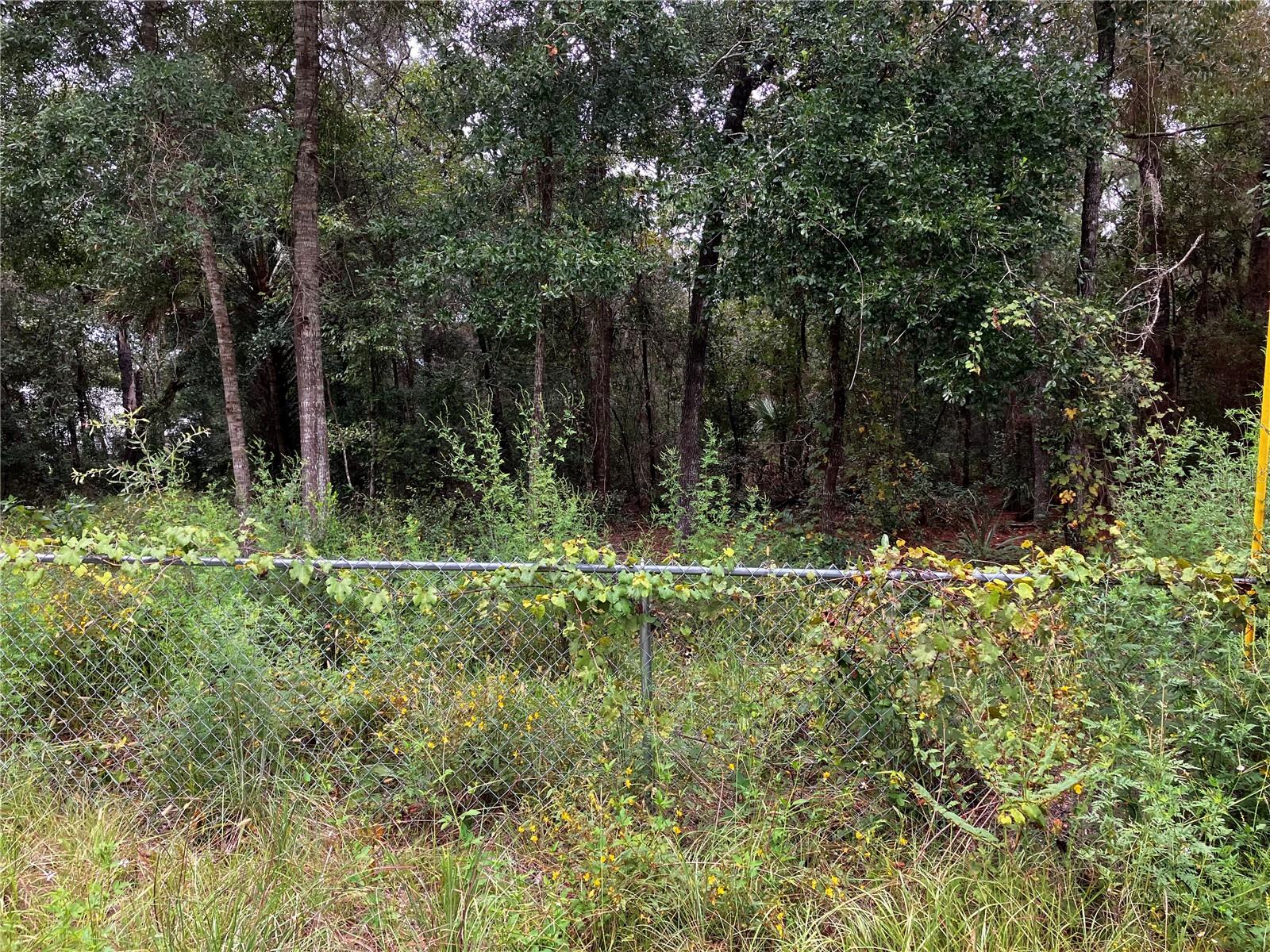9255 GROUSE WAY, HUDSON, FL, 34669