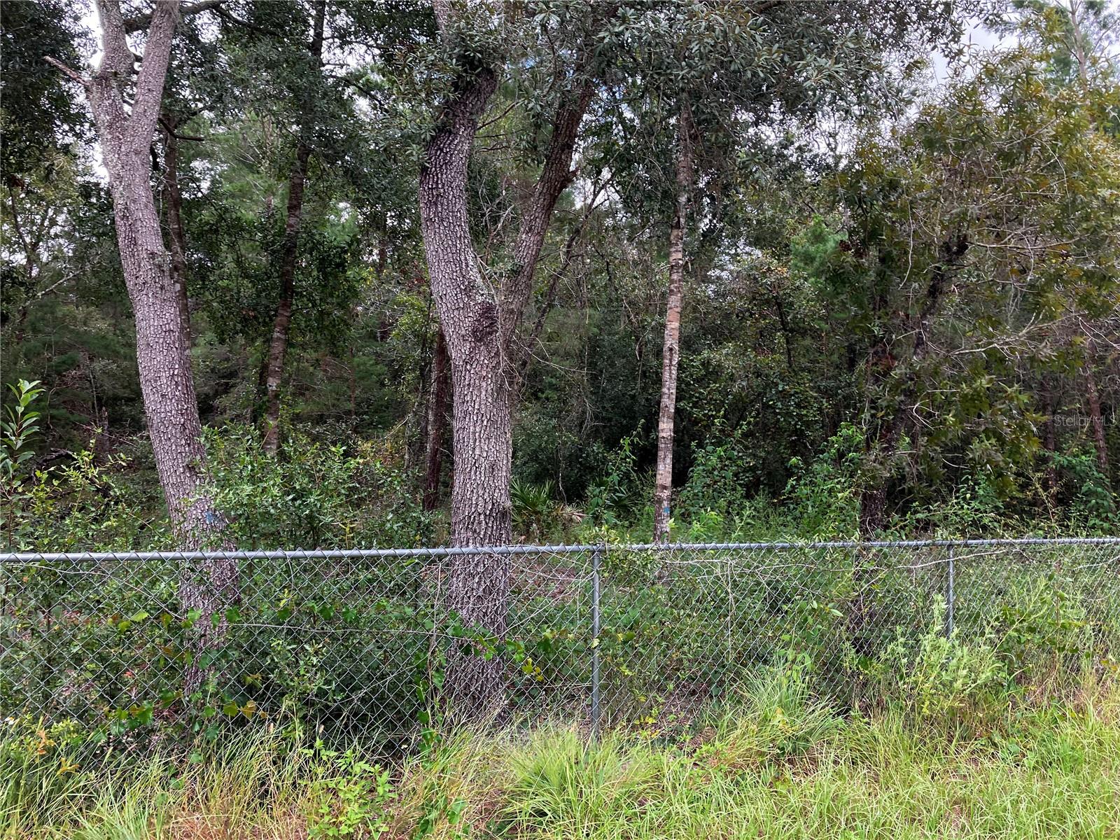 9255 GROUSE WAY, HUDSON, FL, 34669