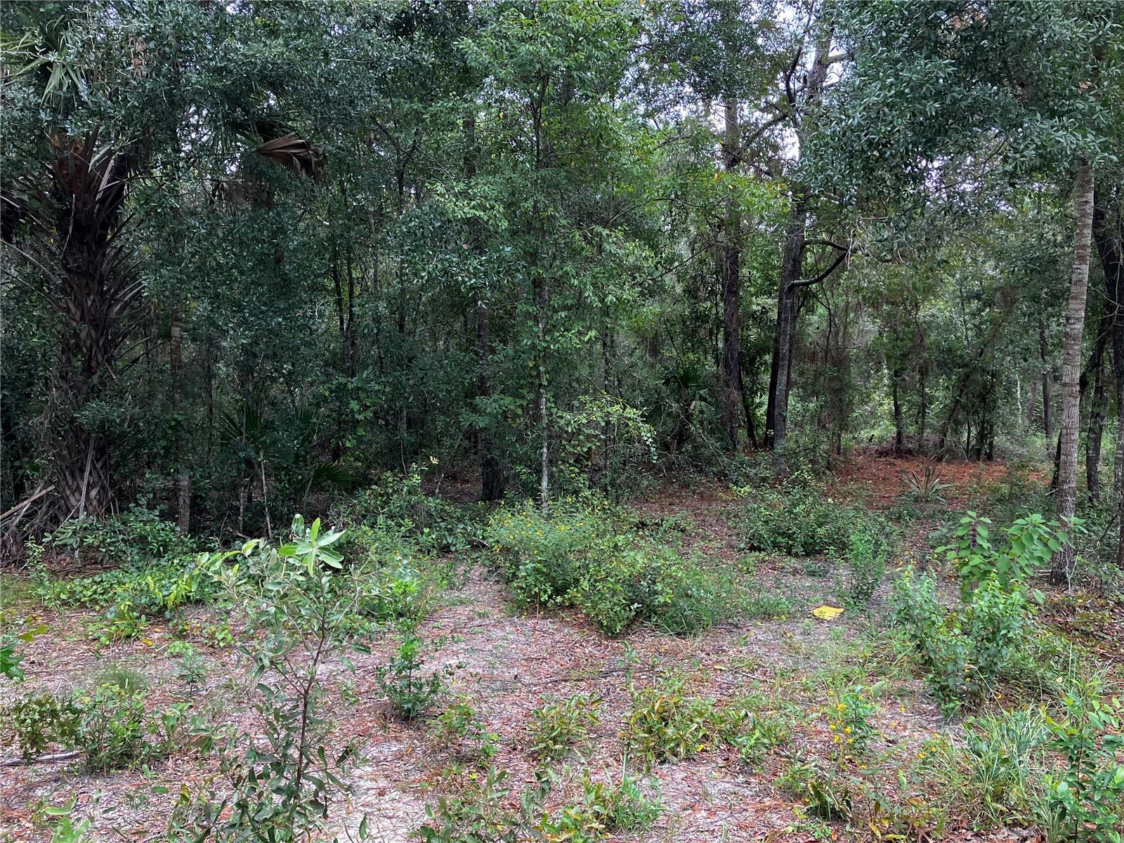 9255 GROUSE WAY, HUDSON, FL, 34669