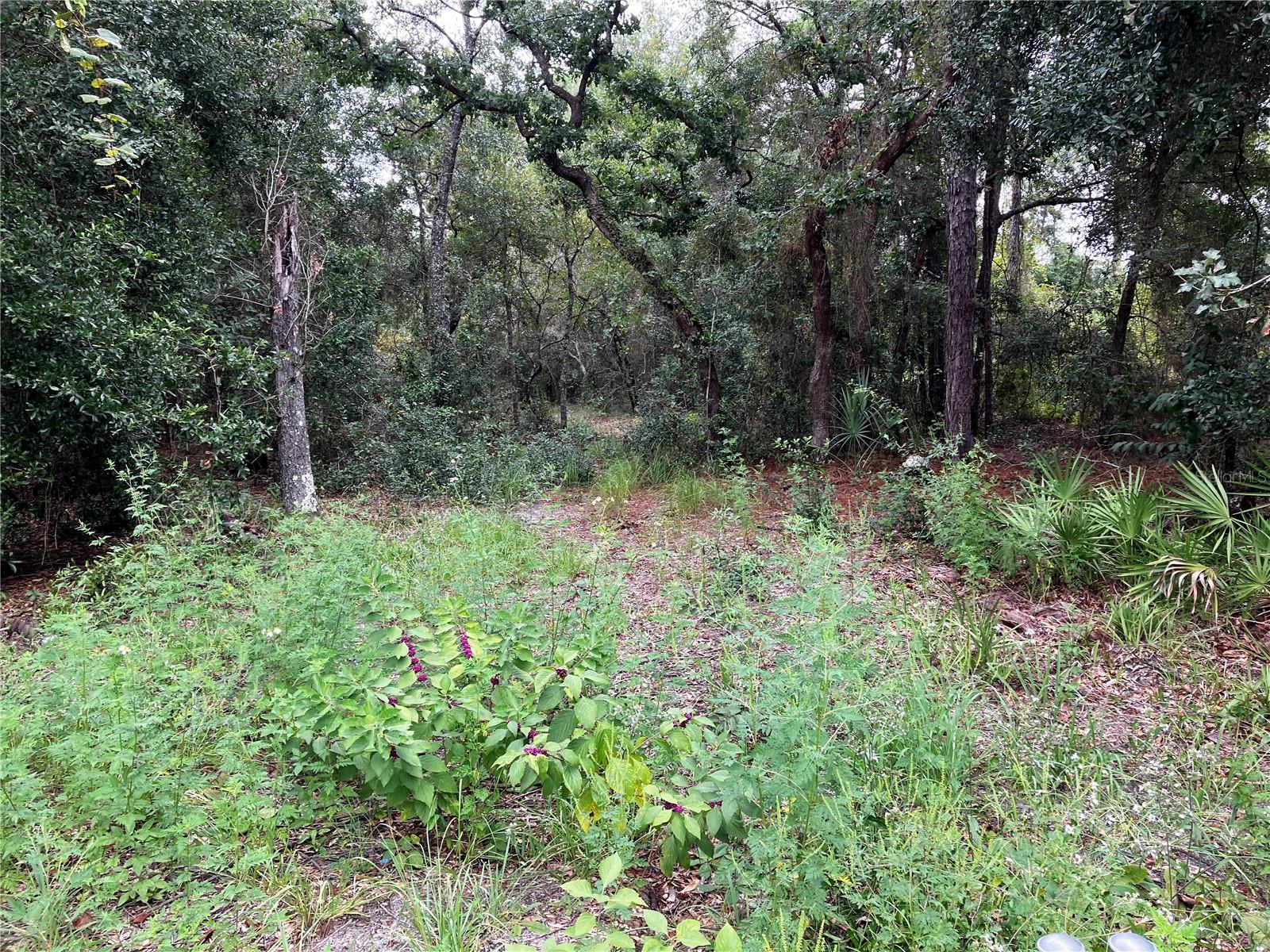 9255 GROUSE WAY, HUDSON, FL, 34669