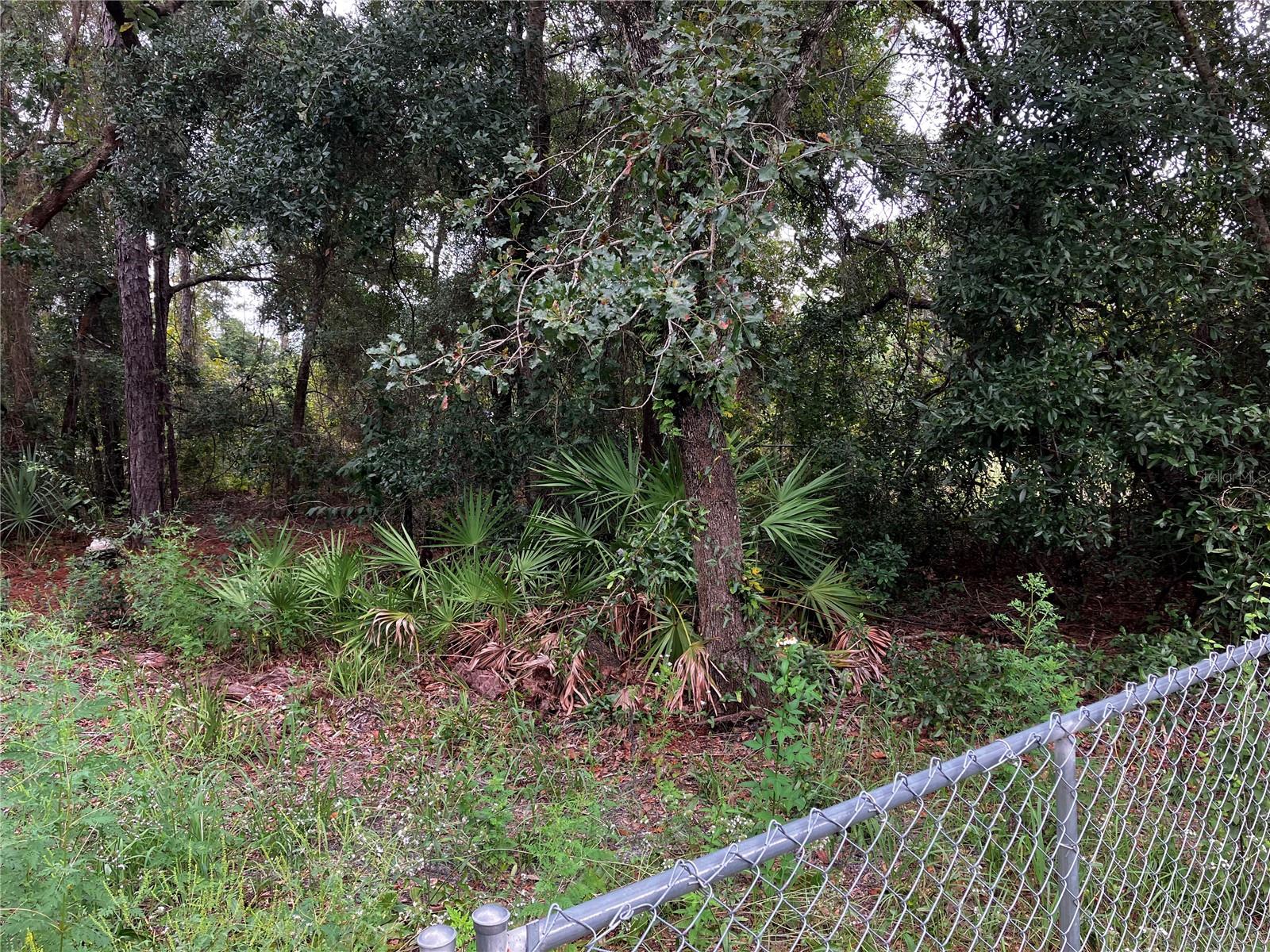 9255 GROUSE WAY, HUDSON, FL, 34669