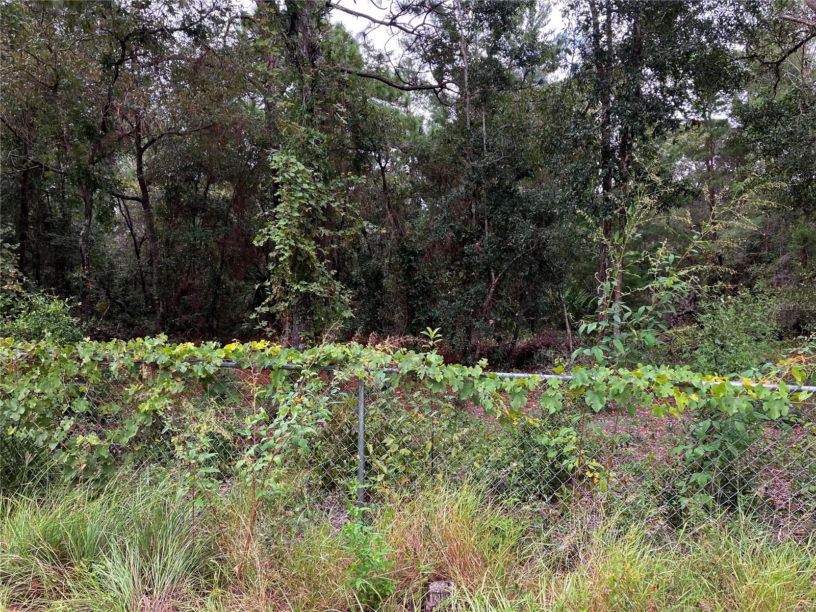 9255 GROUSE WAY, HUDSON, FL, 34669