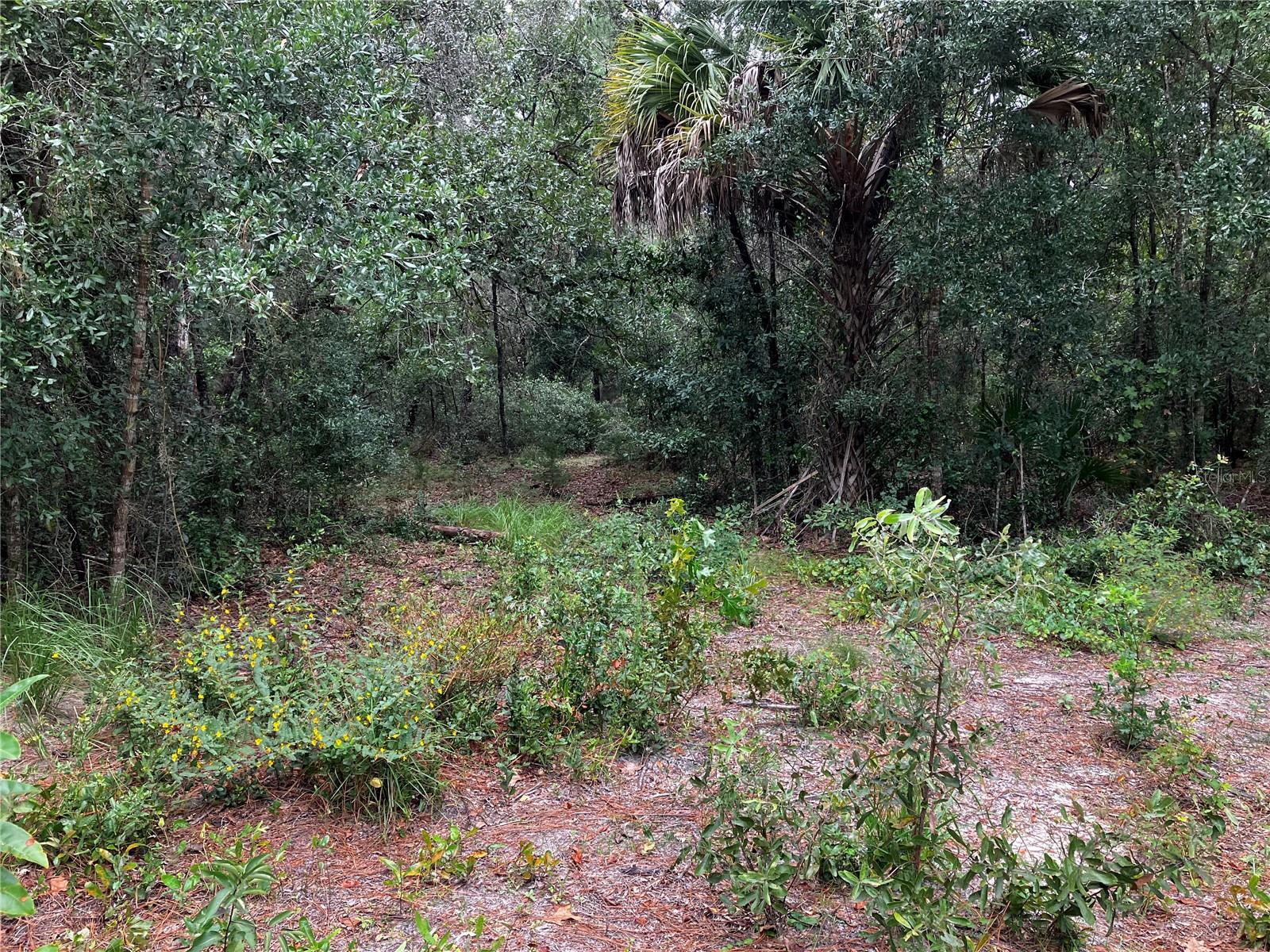 9255 GROUSE WAY, HUDSON, FL, 34669