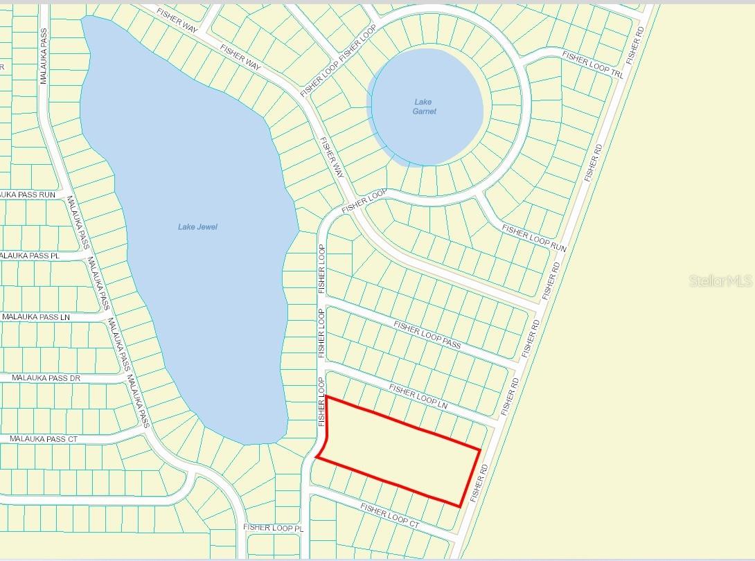 FISHER RD, OCKLAWAHA, FL, 32179