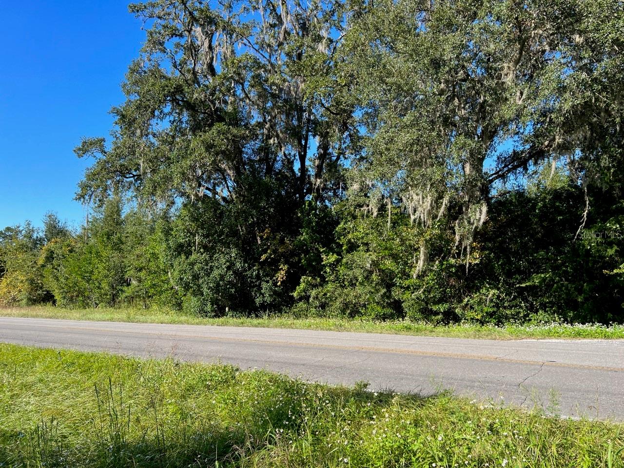 205 AVE NE, WILLISTON, FL, 32696