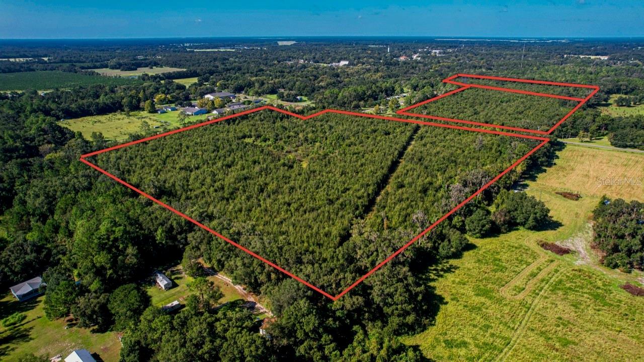 205 AVE NE, WILLISTON, FL, 32696