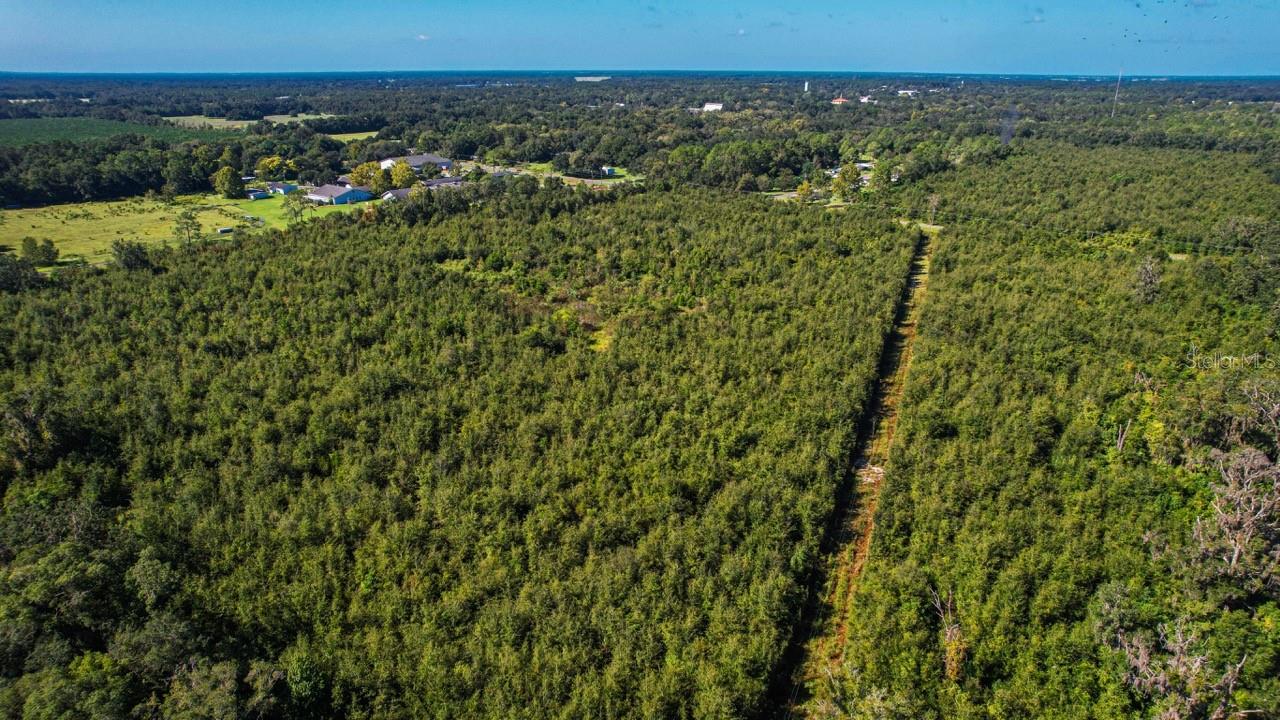 205 AVE NE, WILLISTON, FL, 32696