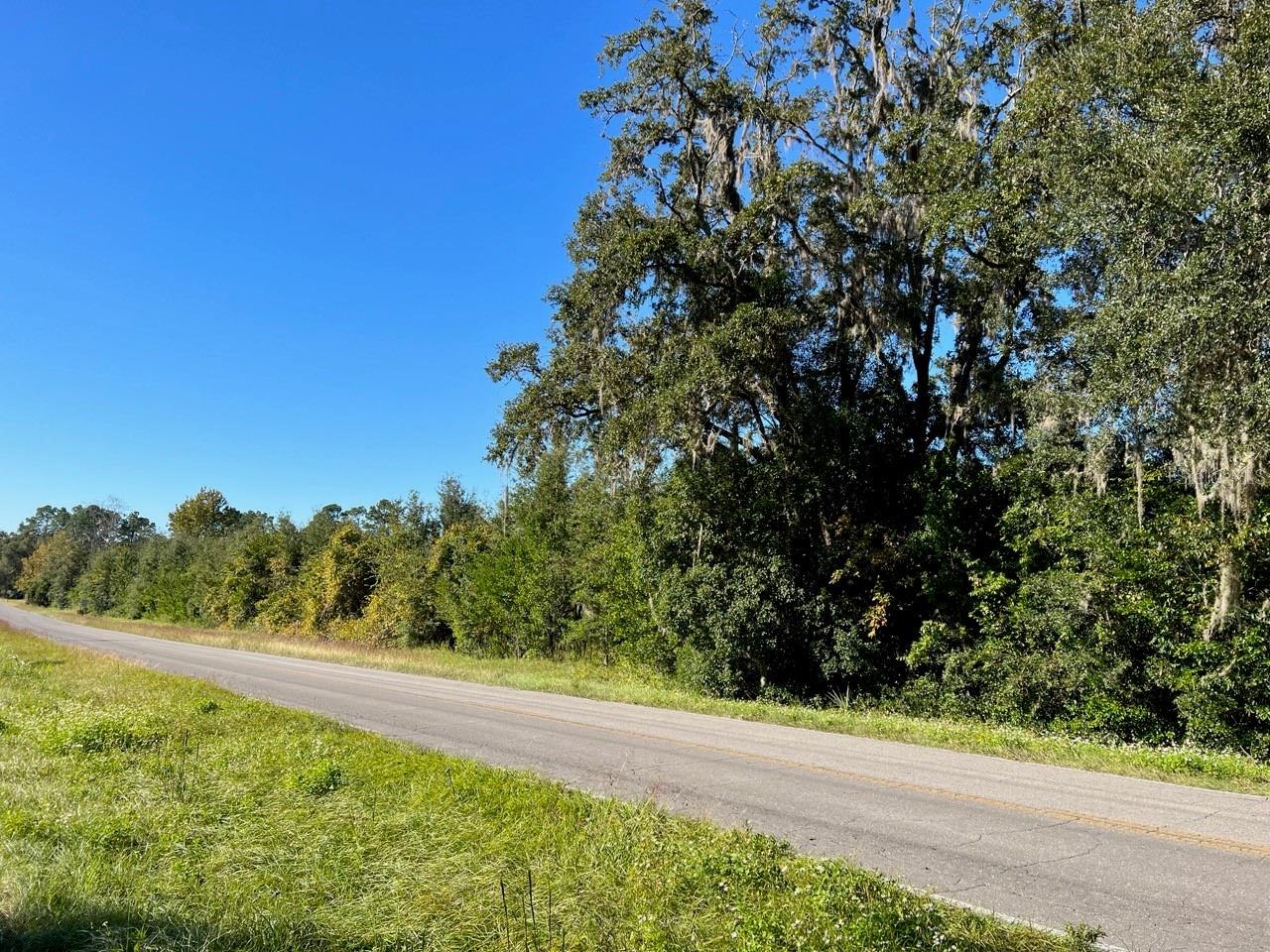 205 AVE NE, WILLISTON, FL, 32696