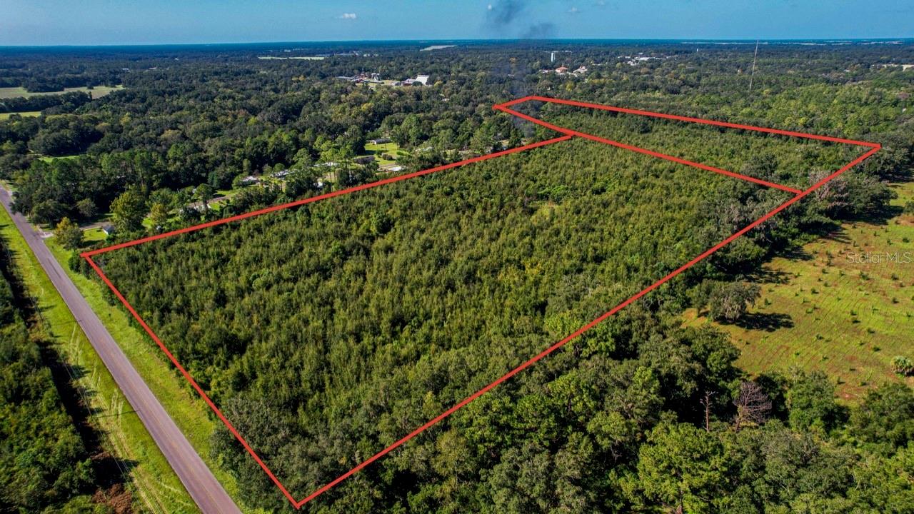 205 AVE NE, WILLISTON, FL, 32696